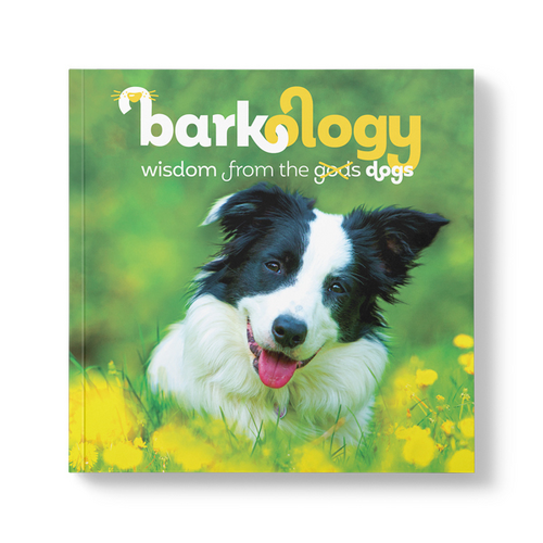 Affirmations - Book - Barkology -wisdom from the gods dogs