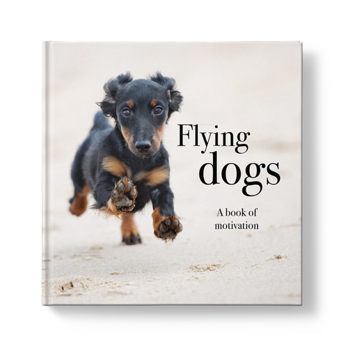 Affirmations - Book - Flying dogs - A book of motivation