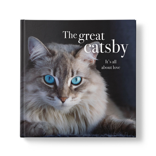 Affirmations - Book - The great Catsby - It&#39;s all about Love